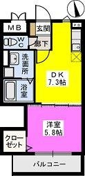 福岡市東区馬出１丁目の賃貸マンションの間取り|間取り図
