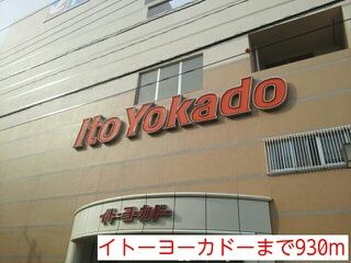 ａｖａｎｚａｒ・ｆｌｏｒｅｓｔのその他