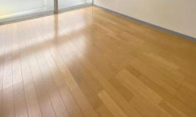 ヴェール本蓮沼