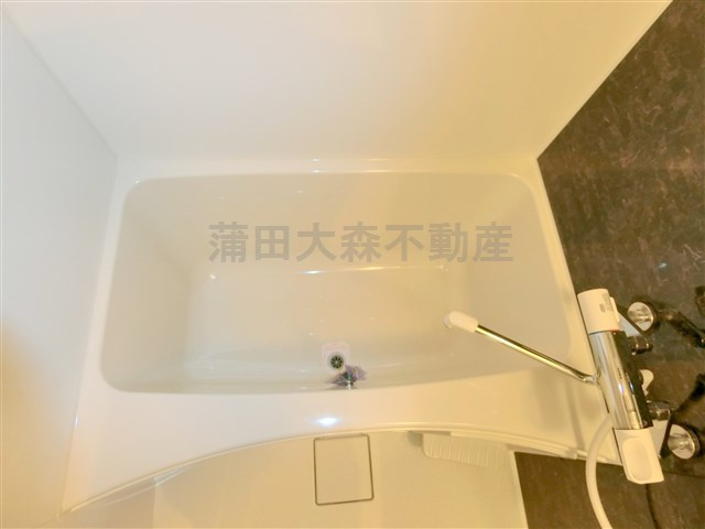 ベルエクラ蒲田Ⅱの浴室