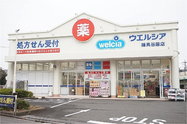 トリアノン87の周辺|63917106_26.jpg