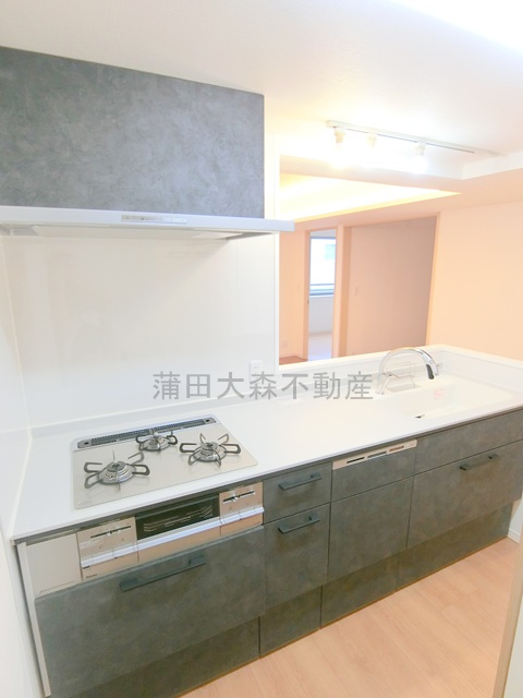 クレッセント池上Ⅱのキッチン|３口ガスコンロのシステムキッチン