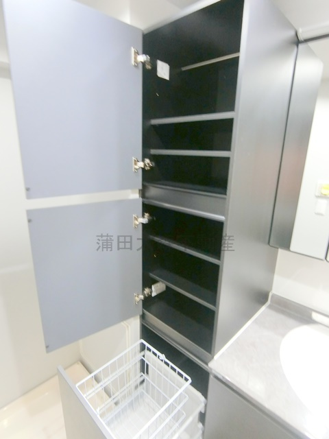 クレッセント池上Ⅱの収納|洗面所収納