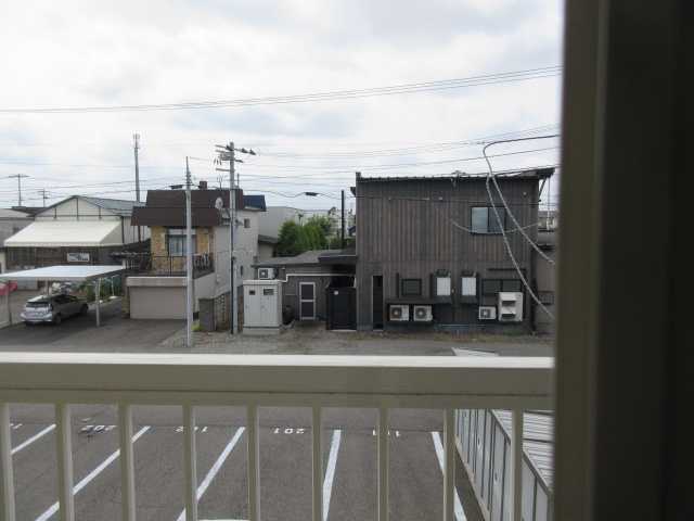 PLACER（プラセール）の展望