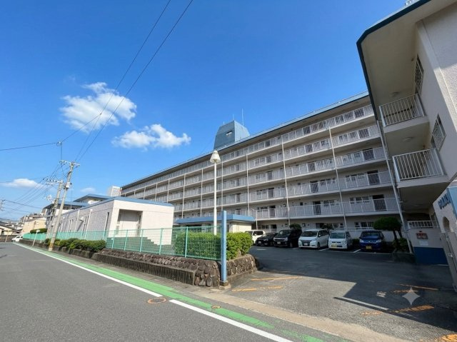 ローレルハイツ大橋の外観