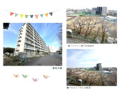 南林間ハイツの画像