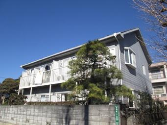 セラビの画像