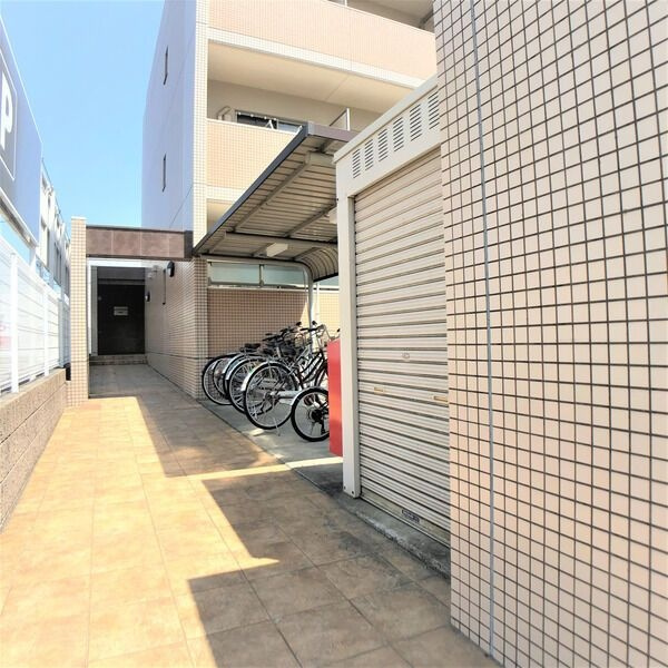 Sun State池花