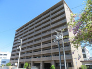 アルファステイツ宝永町桜館の画像