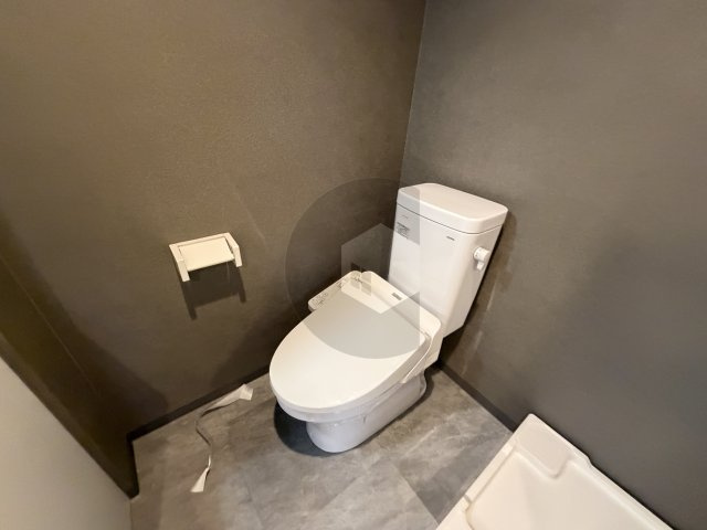 パラドール大蓮東のトイレ