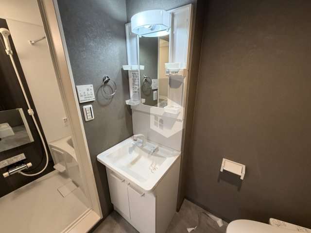 パラドール大蓮東の独立洗面台
