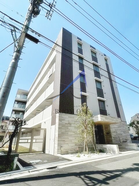 シャルフィー