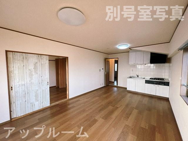 エルセリートオーテのその他