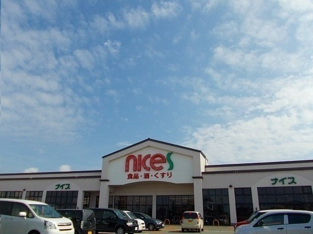 ローテローゼＹの周辺|ナイス　仁井田南店まで1230m