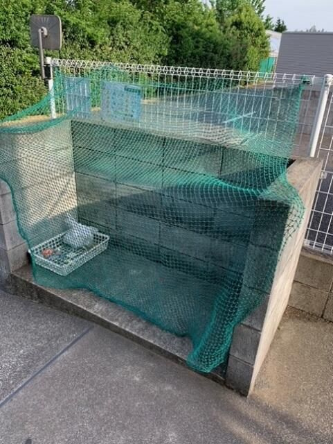 小平市花小金井１丁目のアパートのその他共用部分
