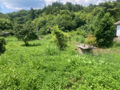 【外観】 | 丹波篠山市古市　売土地