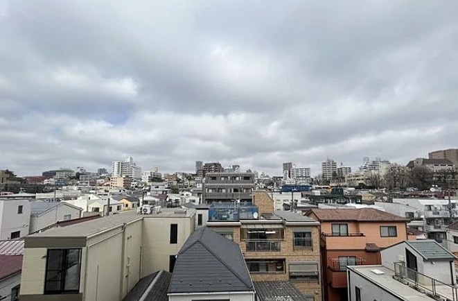 レガリス目白学習院下の展望