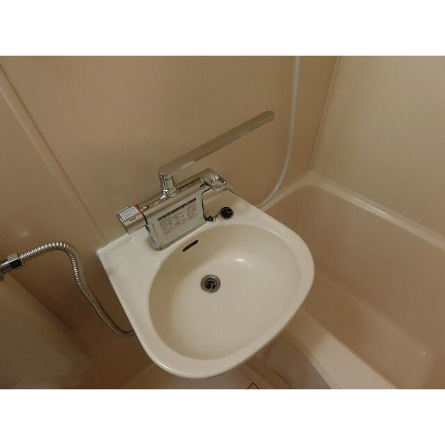 ハイムムラカミの洗面所