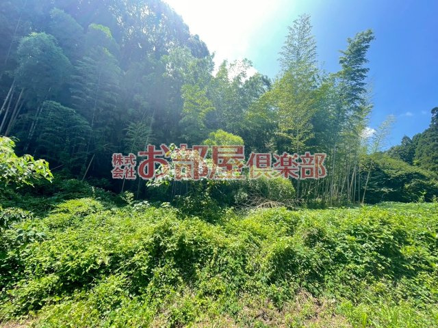 かぐや姫パークBの展望