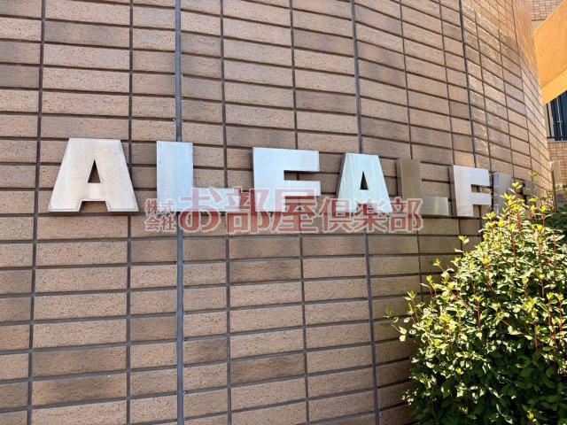 アルファルファ+A棟のその他