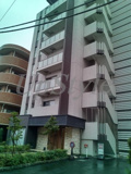 マーシスマルルの画像