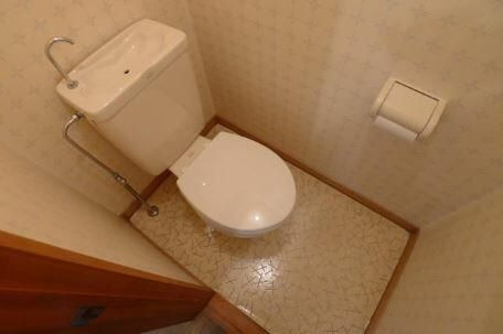 メゾン・デ・シャルム逆井のトイレ|トイレもきれいです