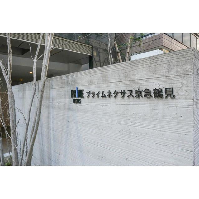 Ｃｒａｎｅ　Ｃｏｕｒｔ　Ｔｓｕｒｕｍｉのその他