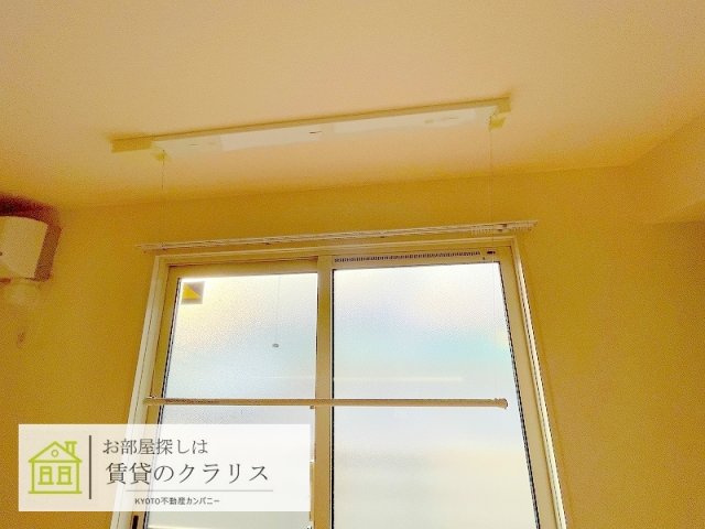 サウス・フォリア