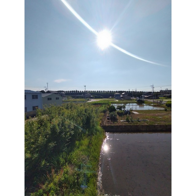 風と実りのＲＩＶＥＲＳＩＤＥのその他