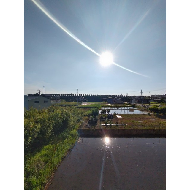 風と実りのＲＩＶＥＲＳＩＤＥのその他
