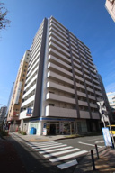 ＬＬＥＮＡＲ　ＮＥＷ　ＹＯＫＯＨＡＭＡの画像