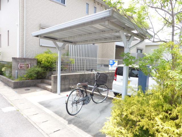 アプリコットのその他