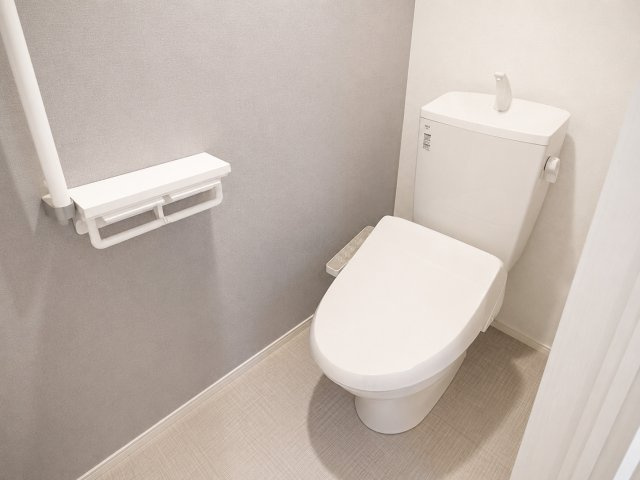 カーザ　レガーメのトイレ|同タイプのお部屋の画像です。