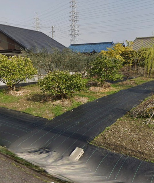 北名古屋市薬師寺草木