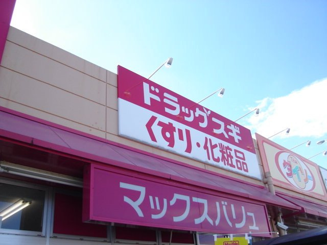 レジデンス花水木の周辺|スギ薬局扶桑店まで924ｍ
