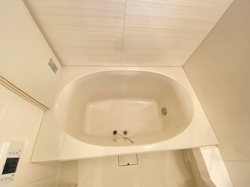 Brillia ist 三軒茶屋　アイビーテラスの浴室