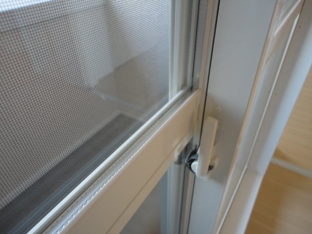 スイレンカのその他|ペアガラス