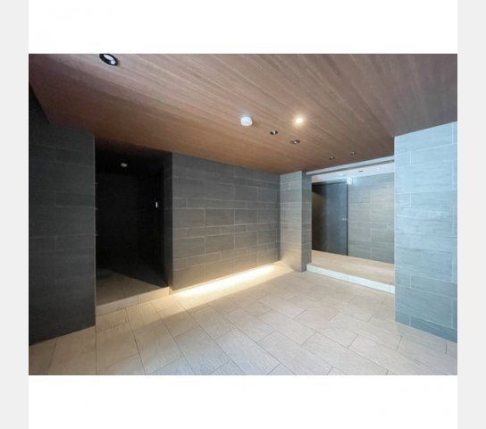 福岡市南区大楠３丁目の賃貸マンションのエントランス|エントランス