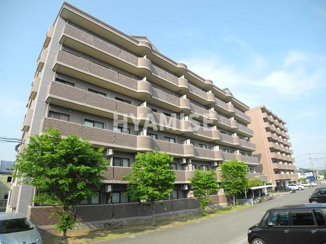 ANNEX31-Ⅴ