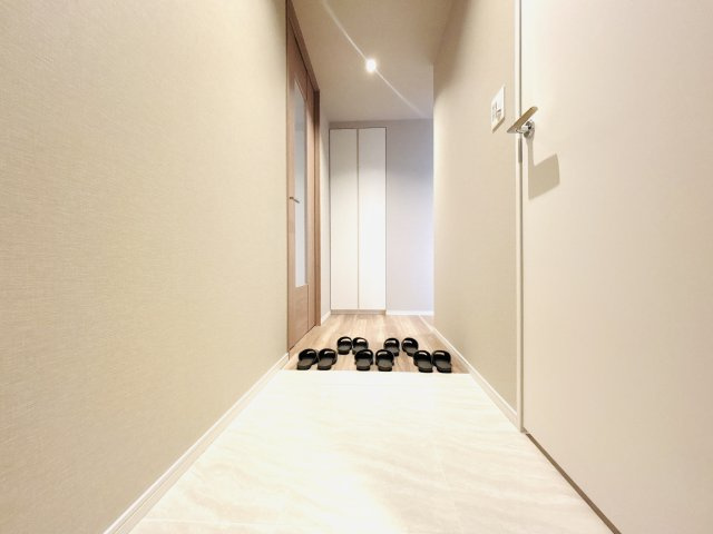 Park Village T棟 19階の玄関