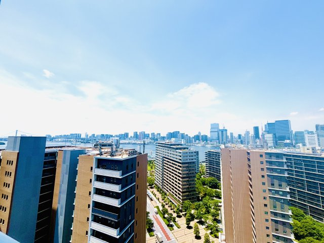 Park Village T棟 19階の展望