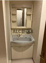 スカイコート新高円寺の洗面所