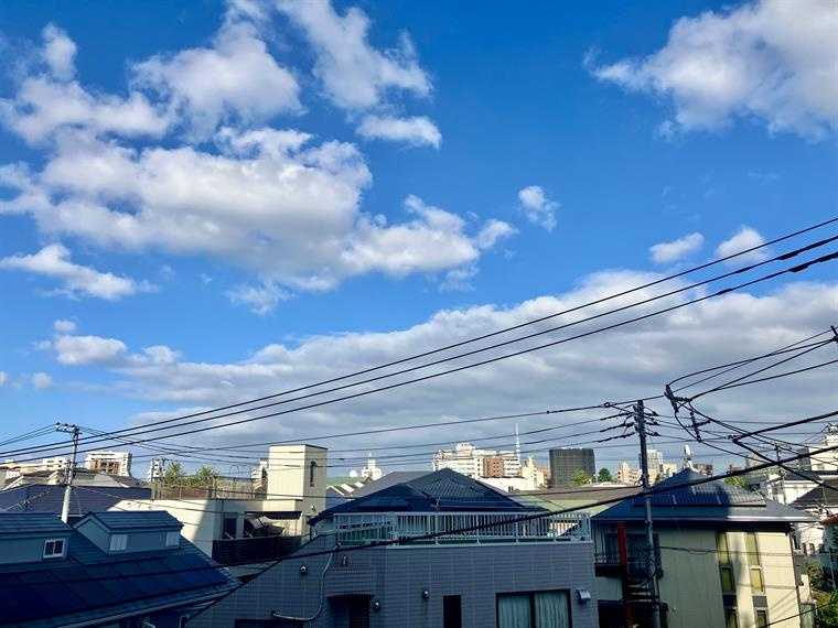 ヴィラロイヤル文京西片の展望