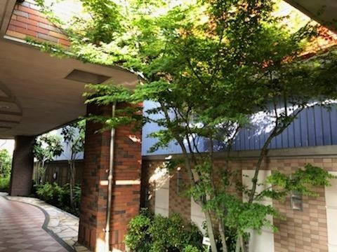福岡市博多区諸岡１丁目の賃貸マンションのその他共用部分|物件の画像18
