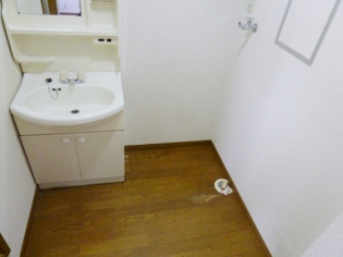 独立洗面台付きでおすすめです！
