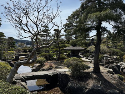 【庭】 | 【中古住宅】男鹿市船川港船川