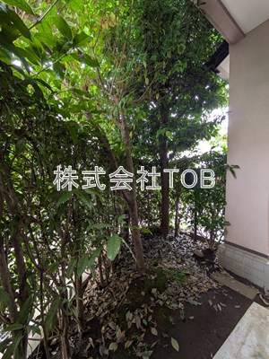 【庭】 | プロムナード沙羅