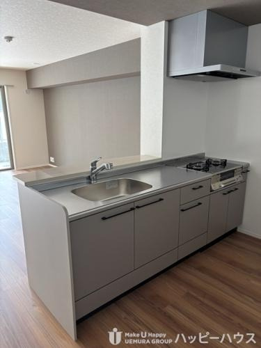福岡市南区的場２丁目の賃貸マンションのキッチン|物件の画像4