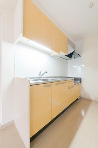 福岡市城南区干隈２丁目の賃貸マンションのキッチン|物件の画像4