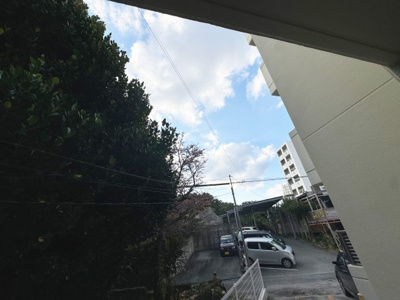  | グランツ楚辺